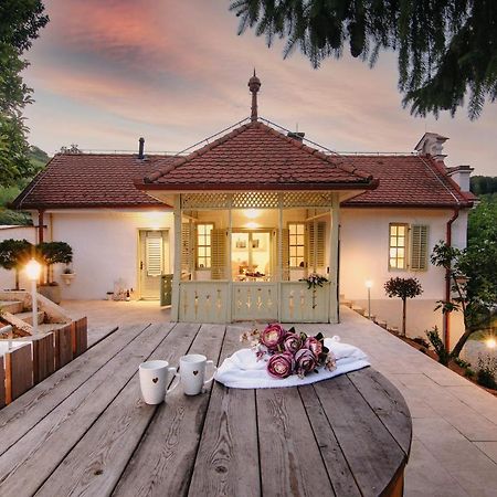 Vila Vilma Vineyard Cottage Lendava Eksteriør bilde