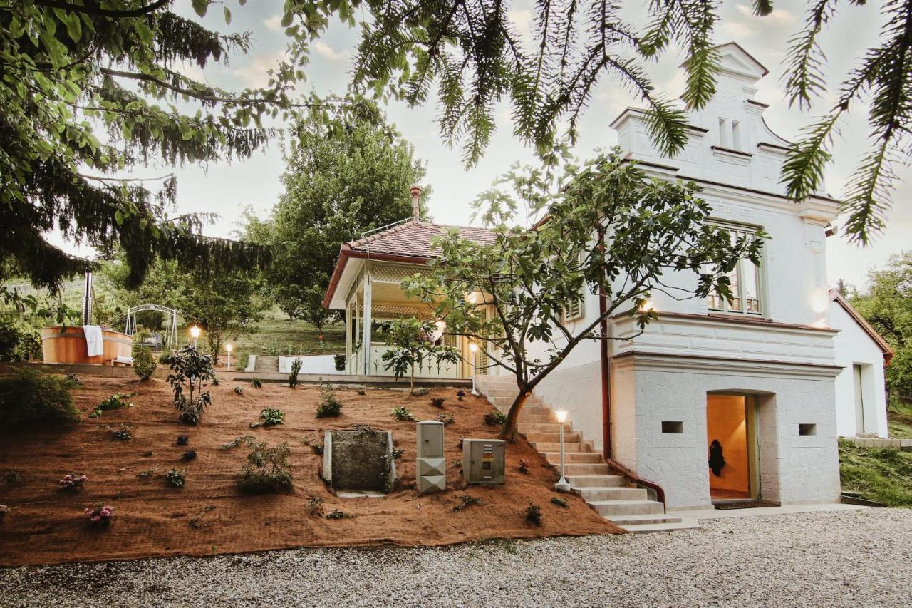 Vila Vilma Vineyard Cottage Lendava Eksteriør bilde